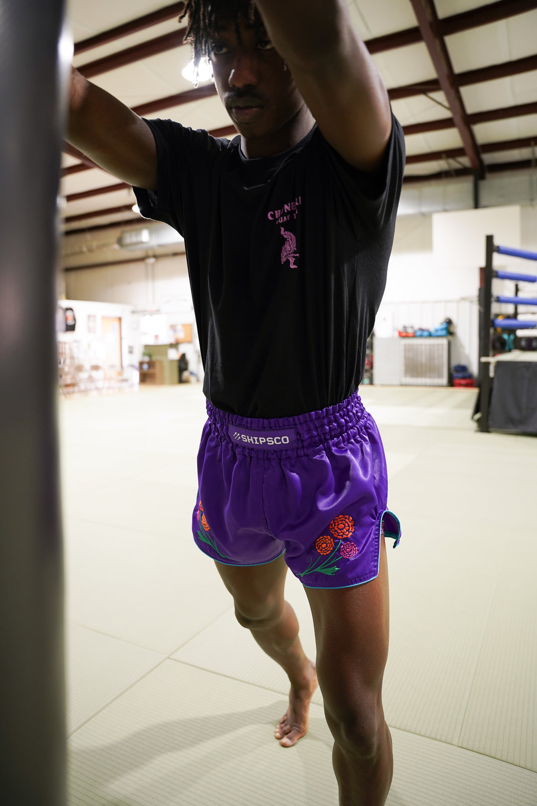 Marigold Muay Thai Shorts – SHIPSCO Fightwear