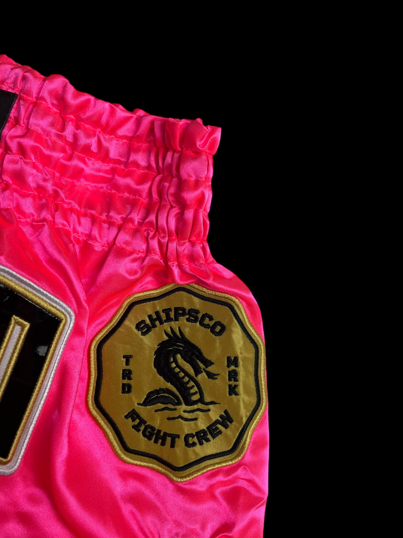 Deep Waters Collection - Pink Muay Thai Shorts