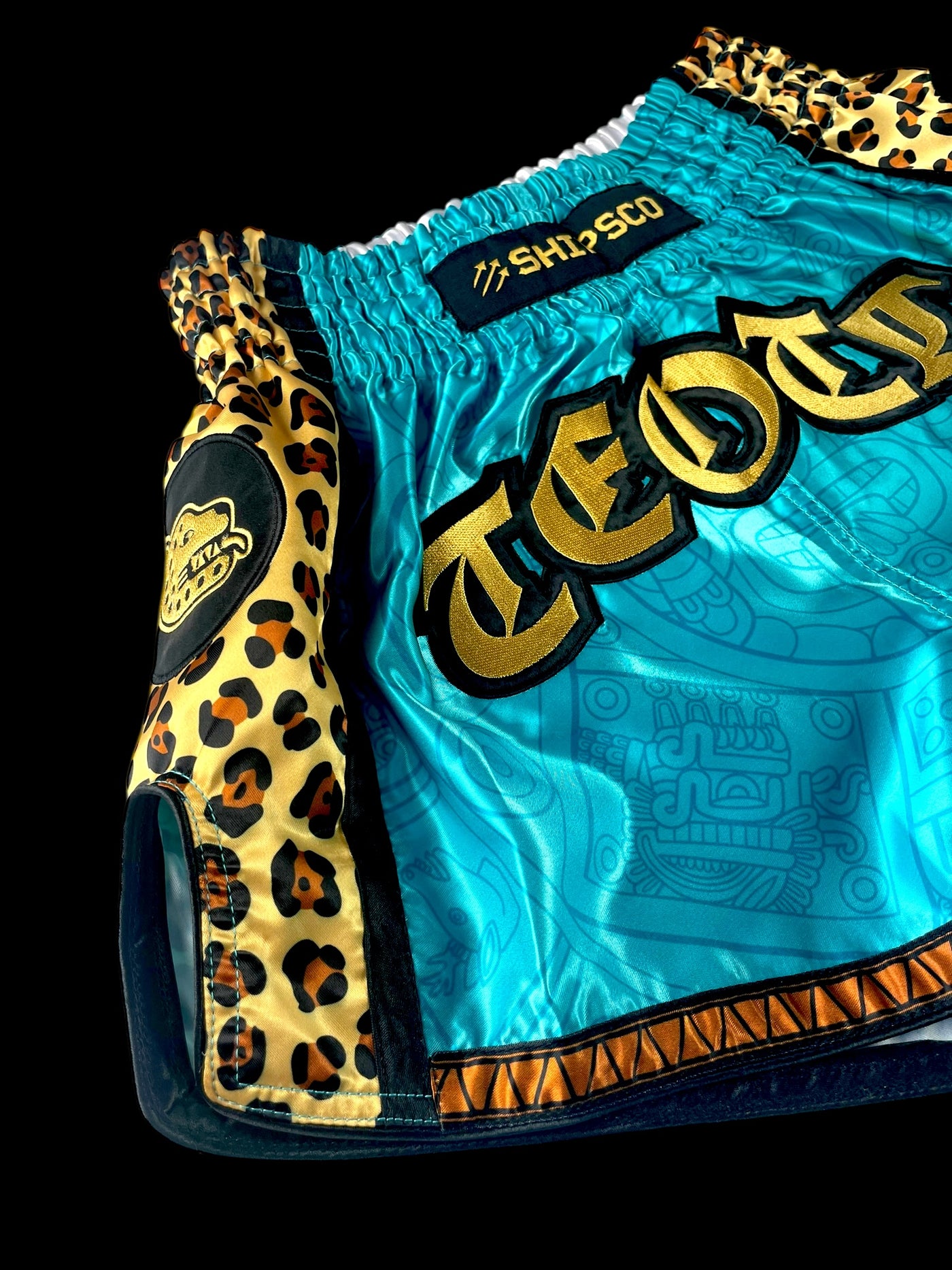 Roberto Armas Teotl Fight Shorts
