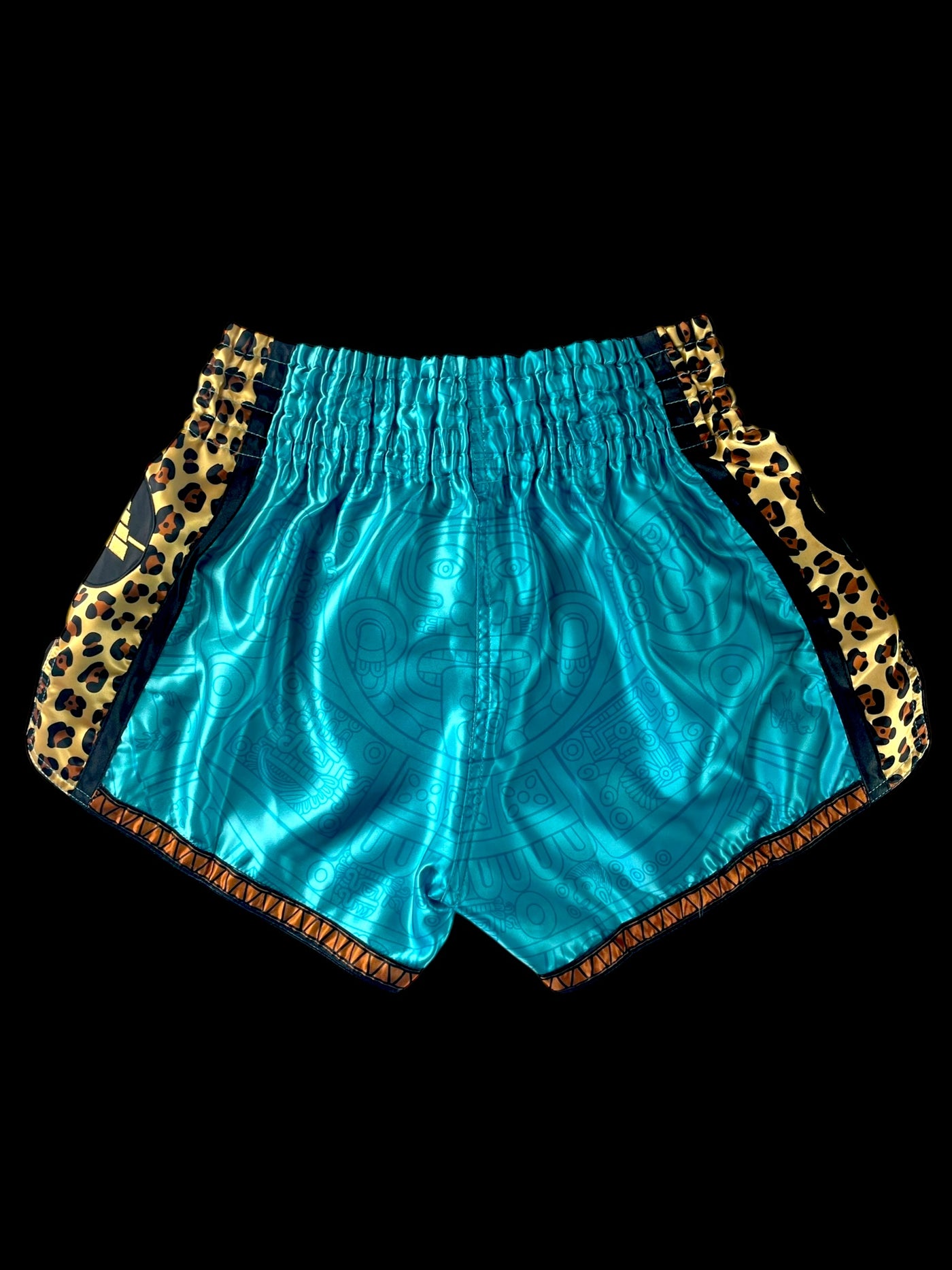 Roberto Armas Teotl Fight Shorts