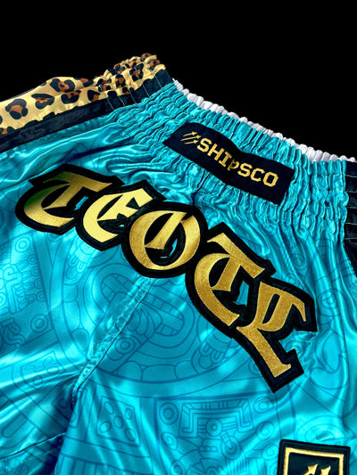 Roberto Armas Teotl Fight Shorts