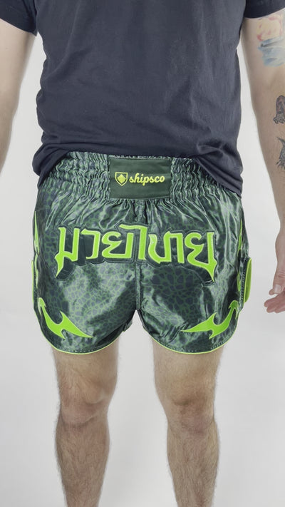 Reptile Muay Thai Shorts-Green